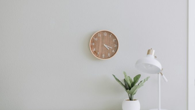 Photo by Samantha Gades white desk lamp beside green plant