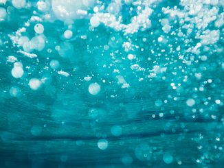 underwater photography of water bubbles