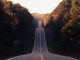 asphalt road between trees