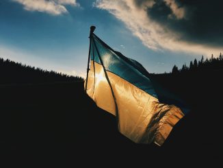 blue and yellow striped country flag