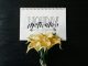 yellow-petaled flowers